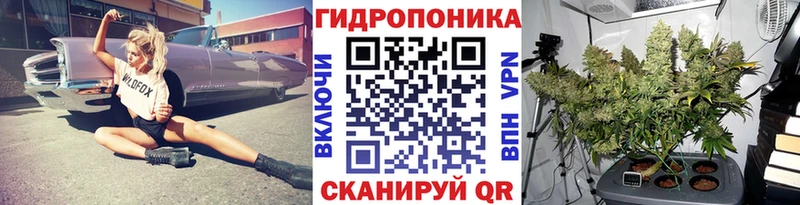 Каннабис сатива  Купить где  Бодайбо 